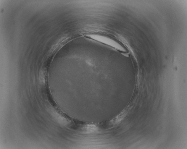 X0000083650114200702261126