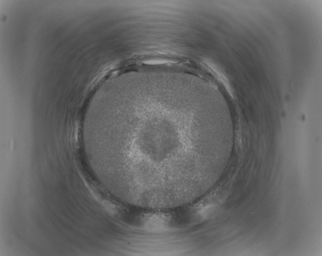 X0000083650115200702261126