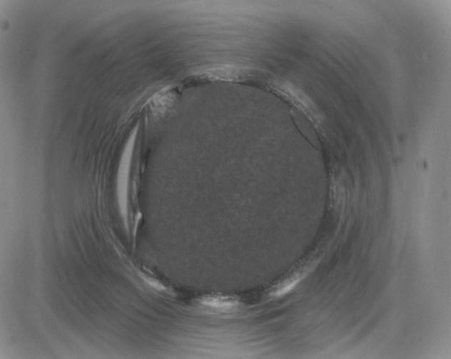 X0000083650117200702261126