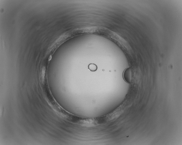 X0000083650118200702261126