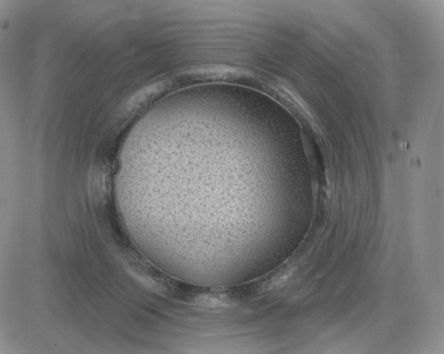 X0000083650119200702261126