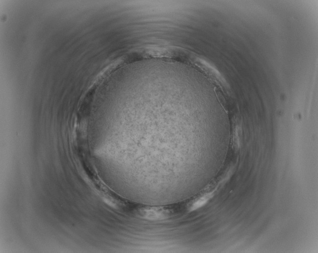 X0000083650121200702261126