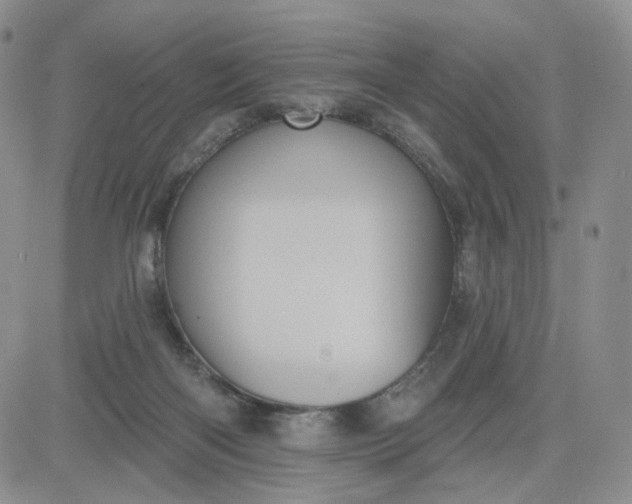 X0000083650122200702261126