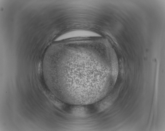 X0000083650123200702261126