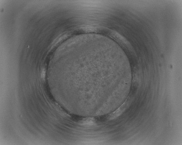 X0000083650124200702261126