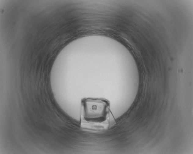 X0000083650125200702261126