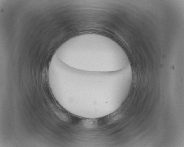 X0000083650126200702261126