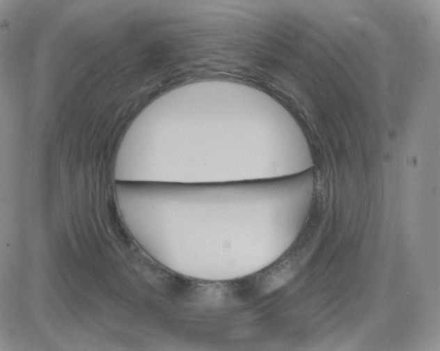 X0000083650127200702261126