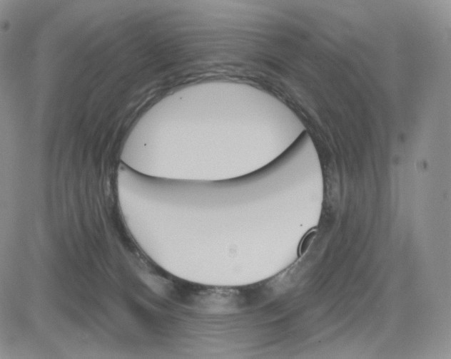 X0000083650128200702261126