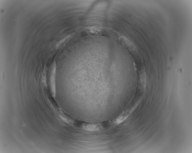 X0000083650129200702261126