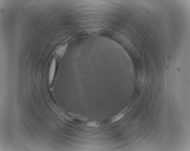 X0000083650130200702261126