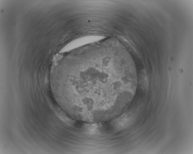 X0000083650131200702261126