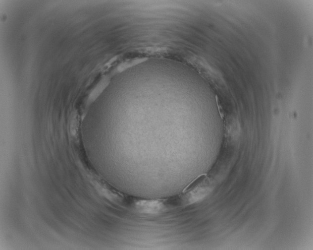 X0000083650133200702261126