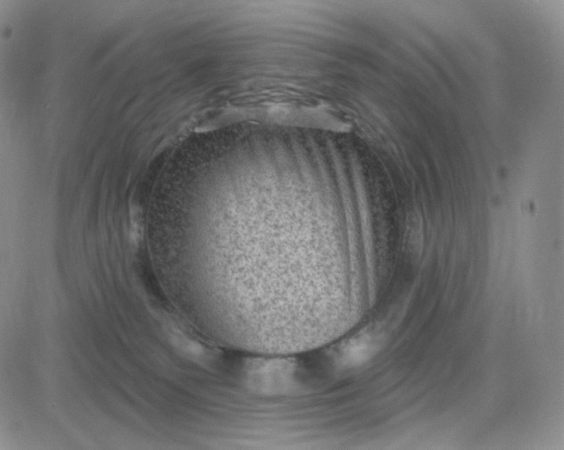 X0000083650135200702261126