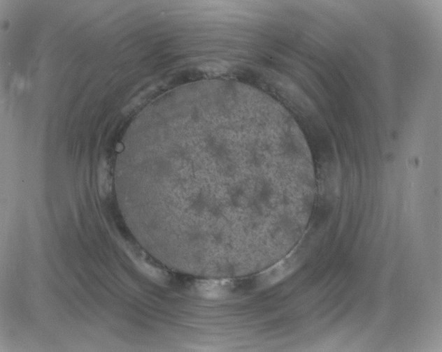 X0000083650136200702261126