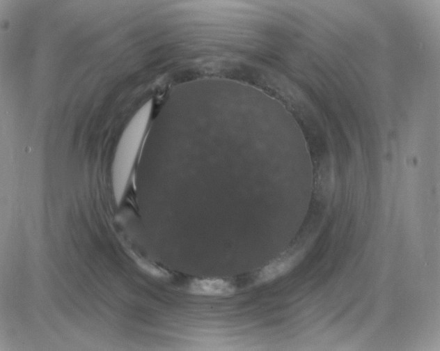 X0000083650137200702261126