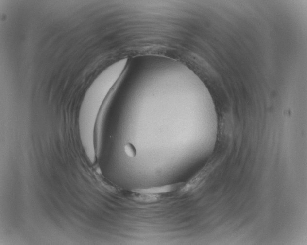 X0000083650138200702261126