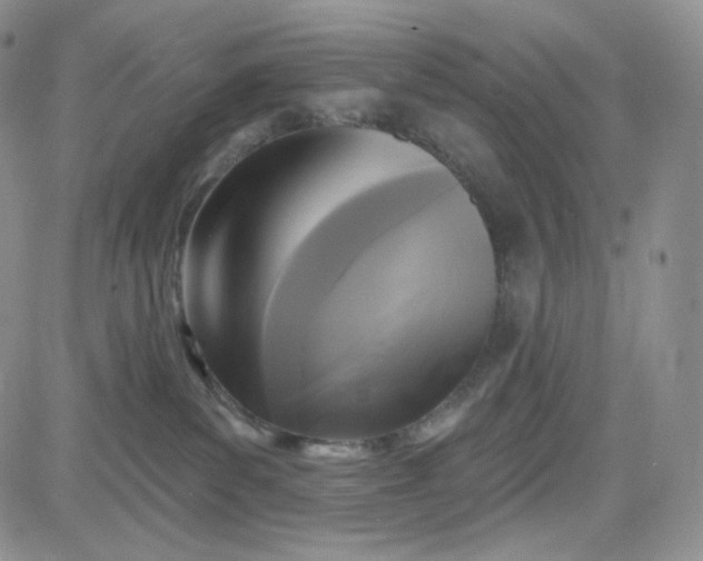 X0000083650139200702261126