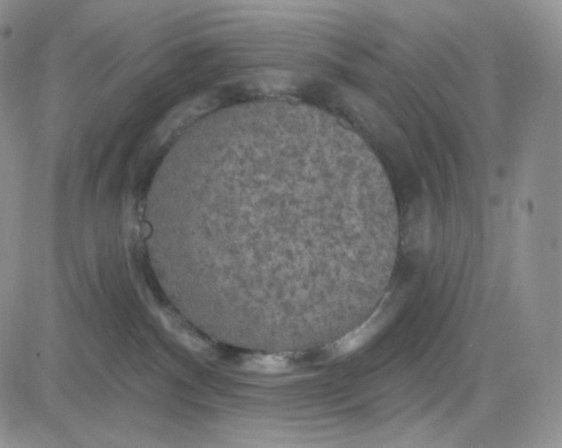 X0000083650140200702261126