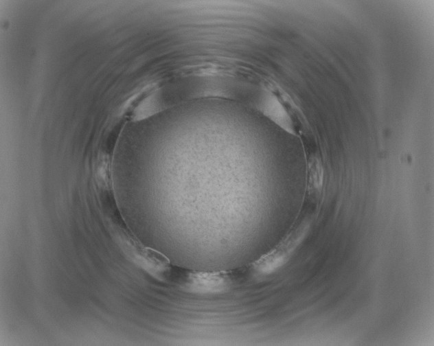 X0000083650141200702261126