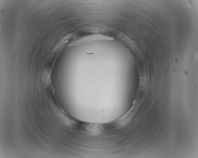 X0000083650142200702261126