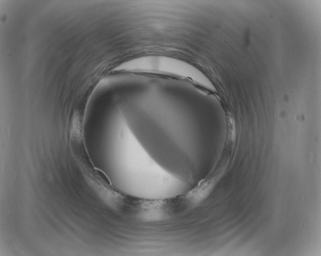 X0000083650143200702261126