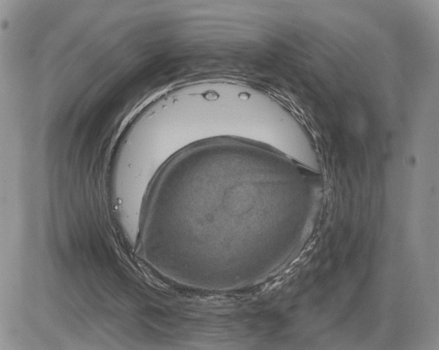 X0000083650146200702261125