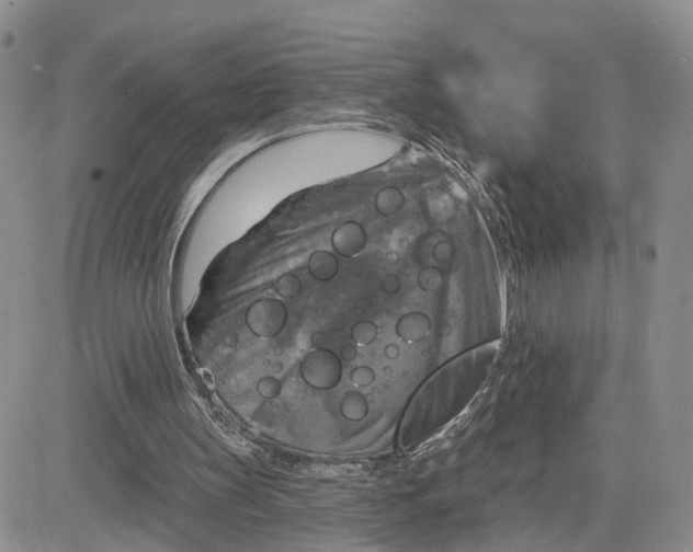 X0000083650147200702261125