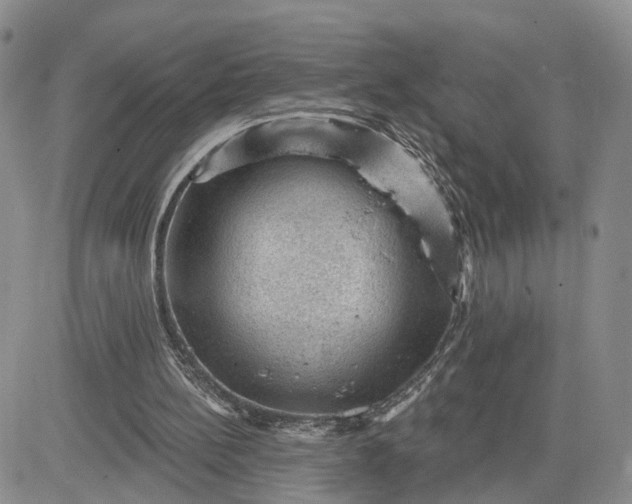 X0000083650148200702261125