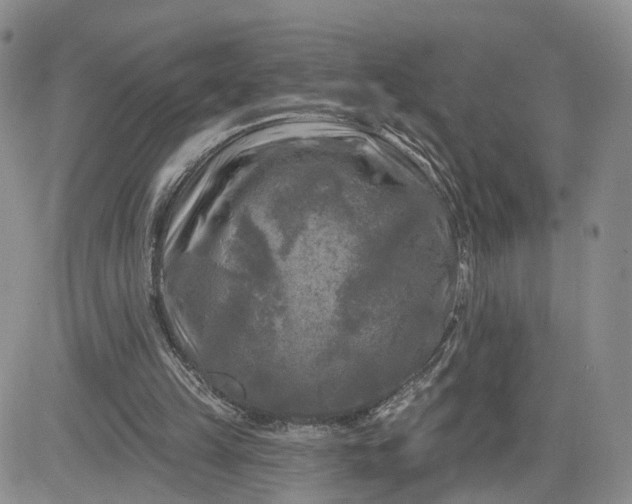 X0000083650149200702261125