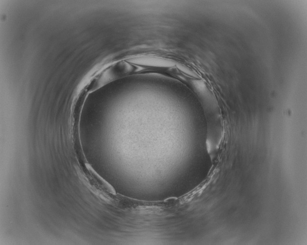 X0000083650150200702261125