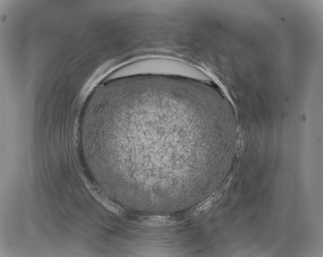 X0000083650151200702261125