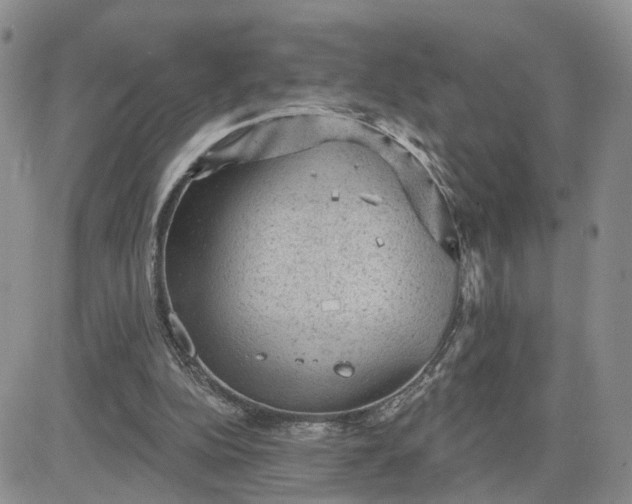 X0000083650152200702261125