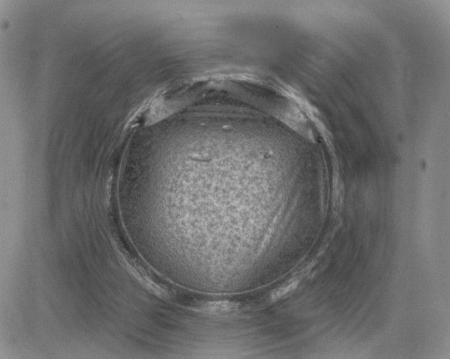 X0000083650153200702261125