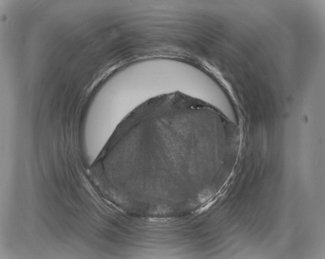 X0000083650154200702261125