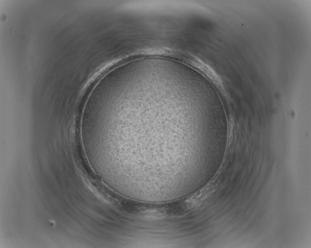 X0000083650155200702261125