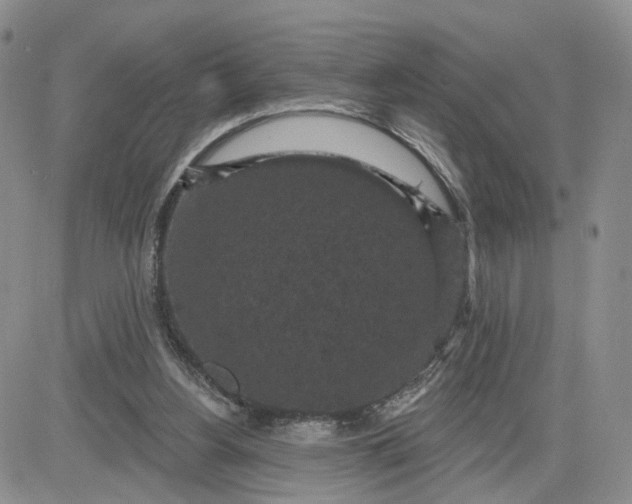 X0000083650156200702261125