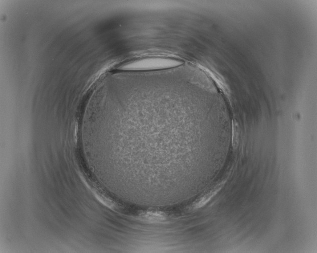 X0000083650157200702261125