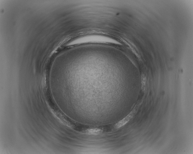 X0000083650158200702261125