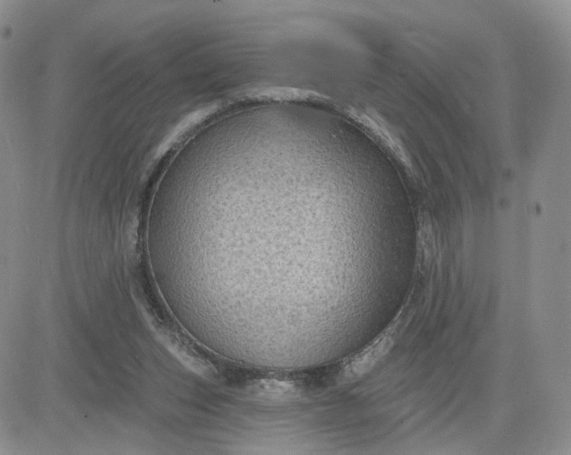 X0000083650159200702261125