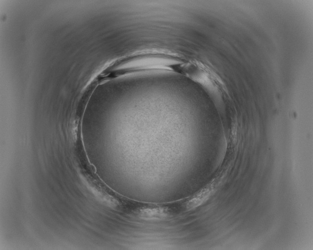 X0000083650160200702261125