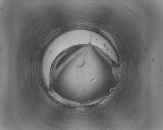 X0000083650162200702261125