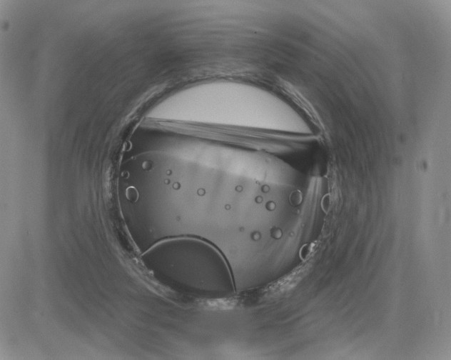 X0000083650163200702261125