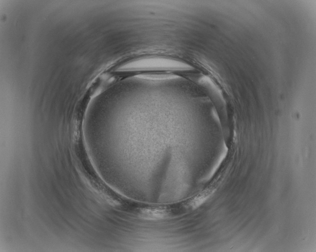 X0000083650164200702261125