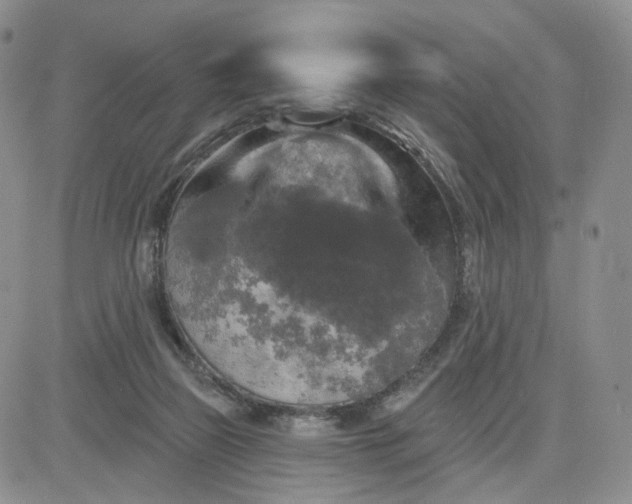 X0000083650165200702261125