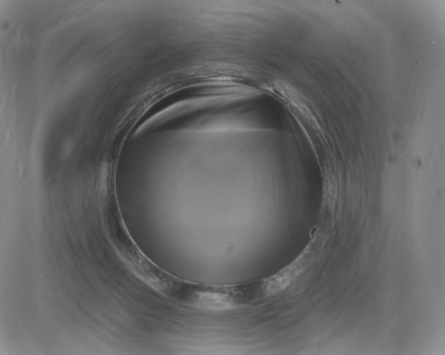 X0000083650167200702261125