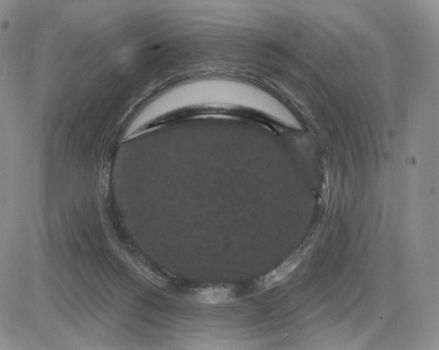 X0000083650168200702261125