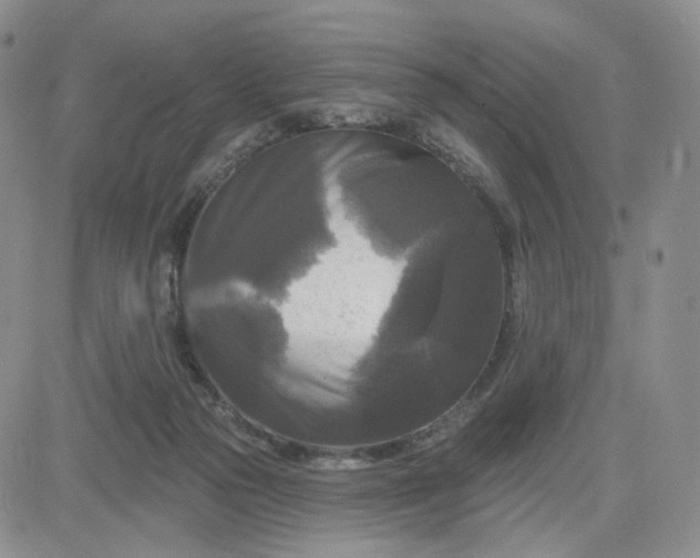 X0000083650169200702261125