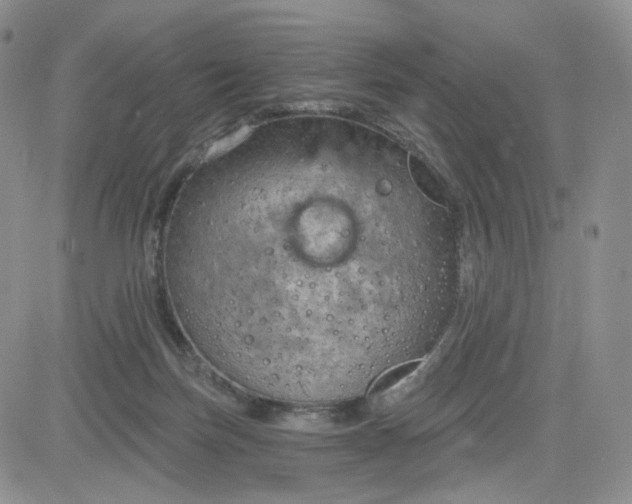 X0000083650171200702261125