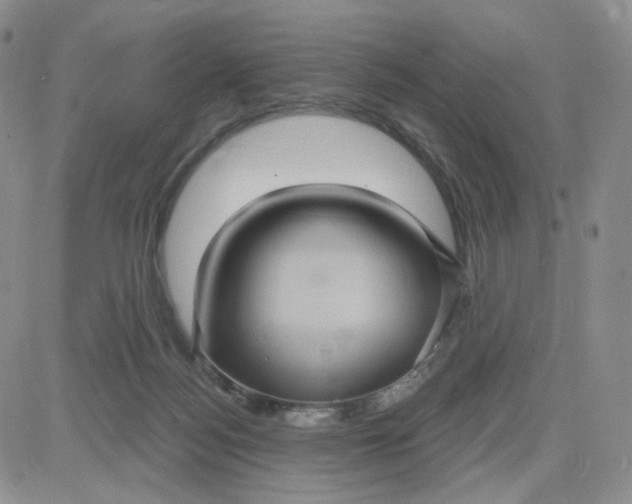 X0000083650172200702261125